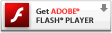 Adobe Flash Player �����